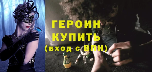шишки Арсеньев