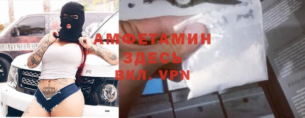 шишки Арсеньев