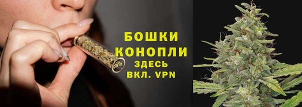 шишки Арсеньев