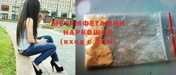 шишки Арсеньев