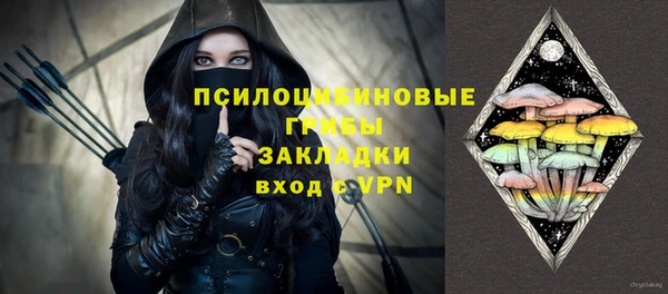 шишки Арсеньев
