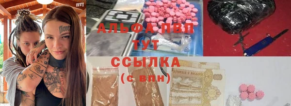 шишки Арсеньев